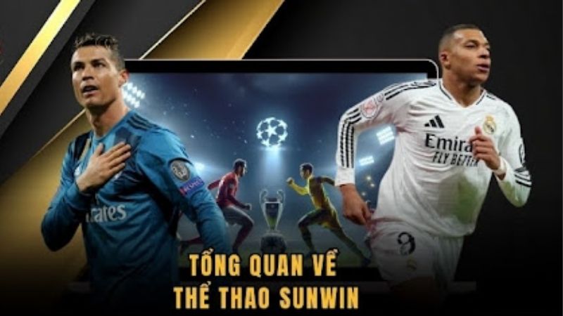 Bí Quyết Chơi Thể Thao Sunwin Đỉnh Cao Từ CEO Maya Yoshida